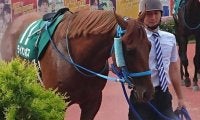 牝馬が強いアイビスSD 最後に勝った牡馬は6年前のライオンボス