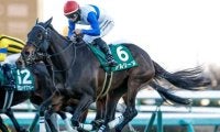 【クイーンS想定騎手】アルジーヌは川田将雅騎手、ココナッツブラウンは北村友一騎手