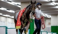 血統面から関屋記念＆東海Sを振り返る 勝ち馬2頭を深掘り