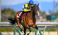 重賞3勝プログノーシスが登録抹消 今後は種牡馬入りの予定