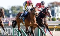 【納屋橋特別】母は重賞2勝のドナウブルー ディアナザールが待望の復帰戦だ