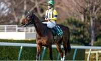 【クイーンS枠順確定】レーゼドラマは5枠7番、アルジーヌは6枠10番