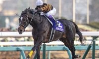 母は米G1馬 キタサンブラック産駒のフォルナックスがデビューV狙う