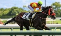 兄姉2頭が海外G1馬 グラヴィスが待望の3勝目なるか