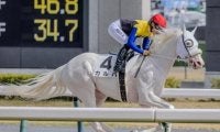 半姉は名牝ソダシ 白毛のカルパが待望の2勝目なるか