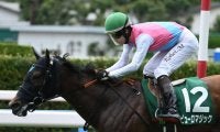 【AI予想・アイビスSD】新境地を開いた快速馬！ 絶好調の鞍上を味方に久々の勝利をつかみ取る