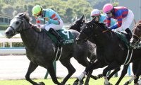 【CBC賞登録馬】3連勝中ヤマニンアルリフラなど19頭