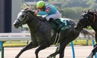 【CBC賞見どころ】ヤマニンアルリフラの4連勝に期待