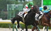 【レパードS想定騎手】ヴィンセンシオはC.ルメール騎手、ジャナドリアは戸崎圭太騎手