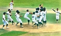 神港学園が10年ぶり優勝、飾磨工を完封　高校軟式野球兵庫大会決勝