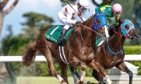 過去の勝ち馬には名馬ズラリ 「レパードS」は昨年からジャパンダートクラシックの前哨戦に