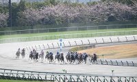 昨年から実施の「競走時間帯の拡大」 今年から中京競馬にも導入した理由は？