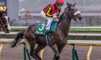 半姉はGI・2勝のチェルヴィニア アルレッキーノがセン馬となって再始動だ