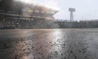 光った“神整備”に選手も驚き「これが阪神園芸さんかと」　豪雨で１時間７分中断もなんの