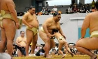大相撲夏巡業「古河場所」にファン沸く　茨城ゆかり両横綱そろい踏み