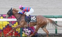 【競馬予想】 CBC賞は「中京・芝1200ｍ」に合う血統から絞る　短距離に強い２頭の牝馬に期待