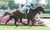 【新馬/新潟4R】G1・9勝アーモンドアイの仔 プロメサアルムンドがデビューV