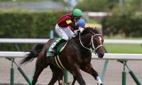 【競馬予想】CBC賞は100万馬券が狙える穴党垂涎の一戦　夏に強い伏兵２頭の大駆けに要注意