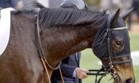 母はGI・3勝ストレイトガール ストレイトアスクが待望の2勝目なるか
