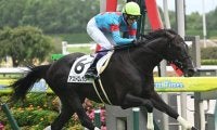 【中京4R新馬戦結果】リオンディーズ産駒アストロレガシーが好位抜け出しV