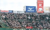 甲子園に登場した大物女優「勝利の女神」　母校の激闘を観戦報告…「素晴らしい」