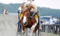 日高町で開催された「第5回ポニー輓馬大会」 計40頭がレースを行い賑わいみせる