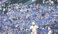「甲子園で聞けるなんて」まさかの名曲に騒然　“共闘”美爆音に感動「まさに青春」