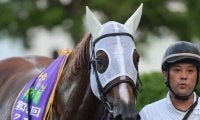 【クラスターC】高松「最高のレースをしたいと臨んだ」サンライズアムールが交流重賞初制覇