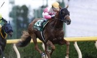 21年、22年の全日本ダート種牡馬ランキングで首位 血統表でよく見る名馬「ヘニーヒューズ」を深堀り