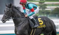 札幌記念で複勝率46％の横山典弘騎手 トップナイフで波乱を呼ぶか