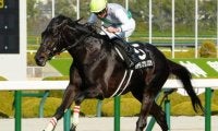 【札幌記念】青森産馬のJRA重賞制覇なら5年ぶり ハヤテノフクノスケが初タイトル狙う