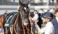 【札幌記念】セレクト5.1億円のショウナンアデイブ 史上最高額のJRA重賞勝ち馬となるか