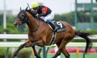 【札幌記念予想オッズ】ホウオウビスケッツが予想1番人気