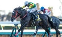 【中京記念予想オッズ】エコロヴァルツが予想1番人気