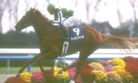 今年は日本馬2頭出走のジャックルマロワ賞 27年前の一戦で魅せたタイキシャトル