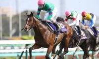 一族に世界的名馬がズラリ 国枝栄厩舎のジャストマイウェイがデビュー勝ちなるか