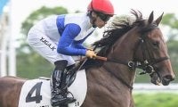 【小樽特別】全兄はGI・2勝のダノンスマッシュ ハリウッドメモリーが待望の2勝目なるか