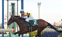 【競馬予想】夏唯一のＧⅡ、札幌記念で見るべき血統は？　特殊な洋芝コースを駆け抜けそうな２頭をピックアップ