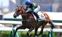 【札幌5R新馬戦結果】ビッグアーサー産駒ナオミライトニングが好位抜け出しV