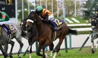 【今日の注目ポイント】札幌記念と中京記念＆仏ジャックルマロワ賞