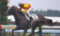 【札幌5R新馬戦結果】スワーヴリチャード産駒ジャスティンシカゴが押し切りV
