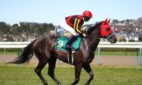 【仏ジャックルマロワ賞】黒岩師「自分の競馬をさせてもらえなかった」アスコリピチェーノは6着