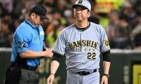 藤川阪神し烈な正左翼手争い…“レギュラー不在”の現状に元投手コーチが持論「外に出た方がチャンスを得られる場合もある」