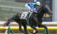 【新潟2歳S想定騎手】リアライズシリウスは津村明秀騎手、フェスティバルヒルは石橋脩騎手