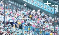 “和装”女子応援団が「かっこいい！」　甲子園彩る鮮やか色合いに注目「信玄餅の柄？」