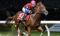【浦和・ルーキーズサマーC注目馬】南関東最初の2歳重賞に素質馬集結 秋の大舞台に向けて名乗りを上げるのは
