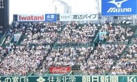 甲子園にいた“美女”に騒然「びっくりしたぁ」　まさかの観戦報告に「アツいね！」