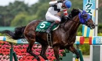 障害重賞4勝のホッコーメヴィウスが登録抹消 関西大学で乗馬になる予定
