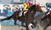グラスワンダー産駒のファイナルワンダーが2勝目 今月8日に亡くなった父へ捧げる白星に