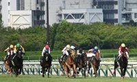今週末の中京競馬でパドック周回時間の短縮を検討 JRAが暑熱対策について発表